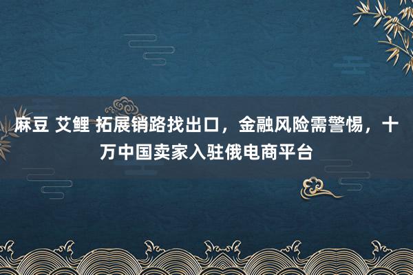 麻豆 艾鲤 拓展销路找出口，金融风险需警惕，十万中国卖家入驻俄电商平台