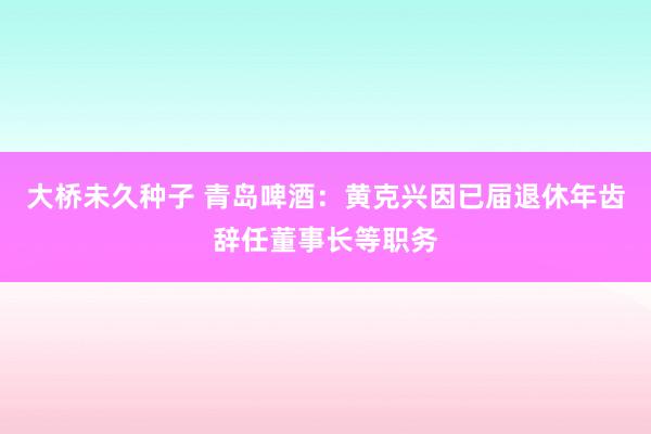 大桥未久种子 青岛啤酒：黄克兴因已届退休年齿辞任董事长等职务