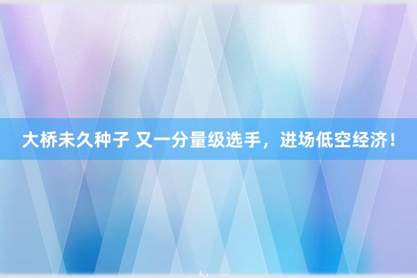 大桥未久种子 又一分量级选手，进场低空经济！