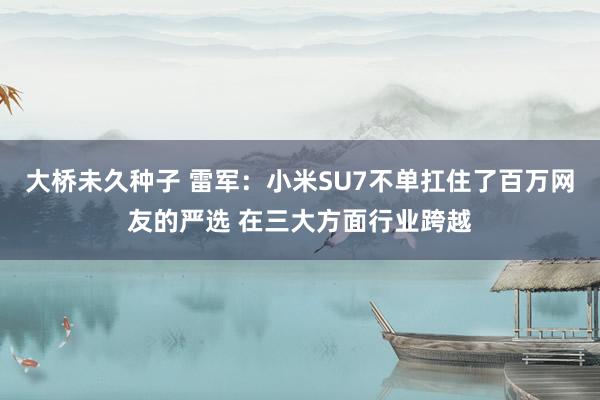 大桥未久种子 雷军：小米SU7不单扛住了百万网友的严选 在三大方面行业跨越