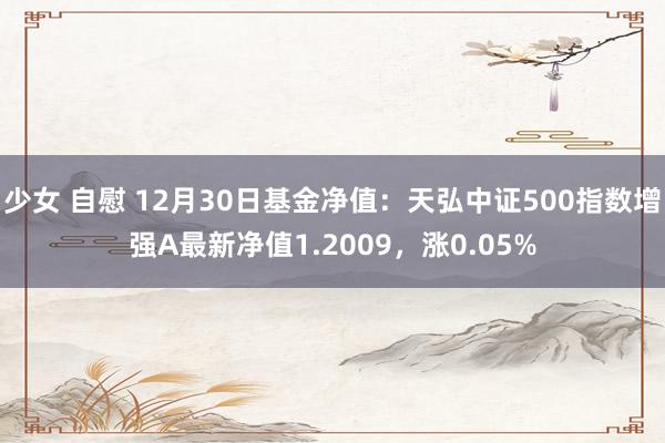 少女 自慰 12月30日基金净值：天弘中证500指数增强A最新净值1.2009，涨0.05%