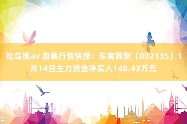 松岛枫av 股票行情快报：东南网架（002135）1月14日主力资金净买入148.43万元