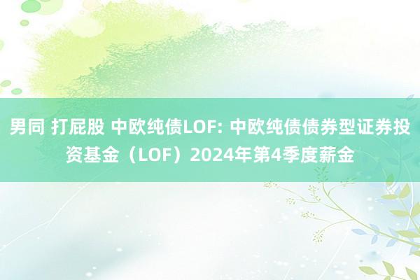 男同 打屁股 中欧纯债LOF: 中欧纯债债券型证券投资基金（LOF）2024年第4季度薪金