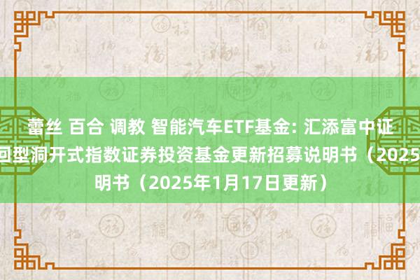 蕾丝 百合 调教 智能汽车ETF基金: 汇添富中证智能汽车主题来回型洞开式指数证券投资基金更新招募说明书（2025年1月17日更新）