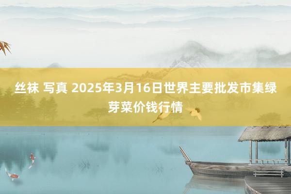 丝袜 写真 2025年3月16日世界主要批发市集绿芽菜价钱行情